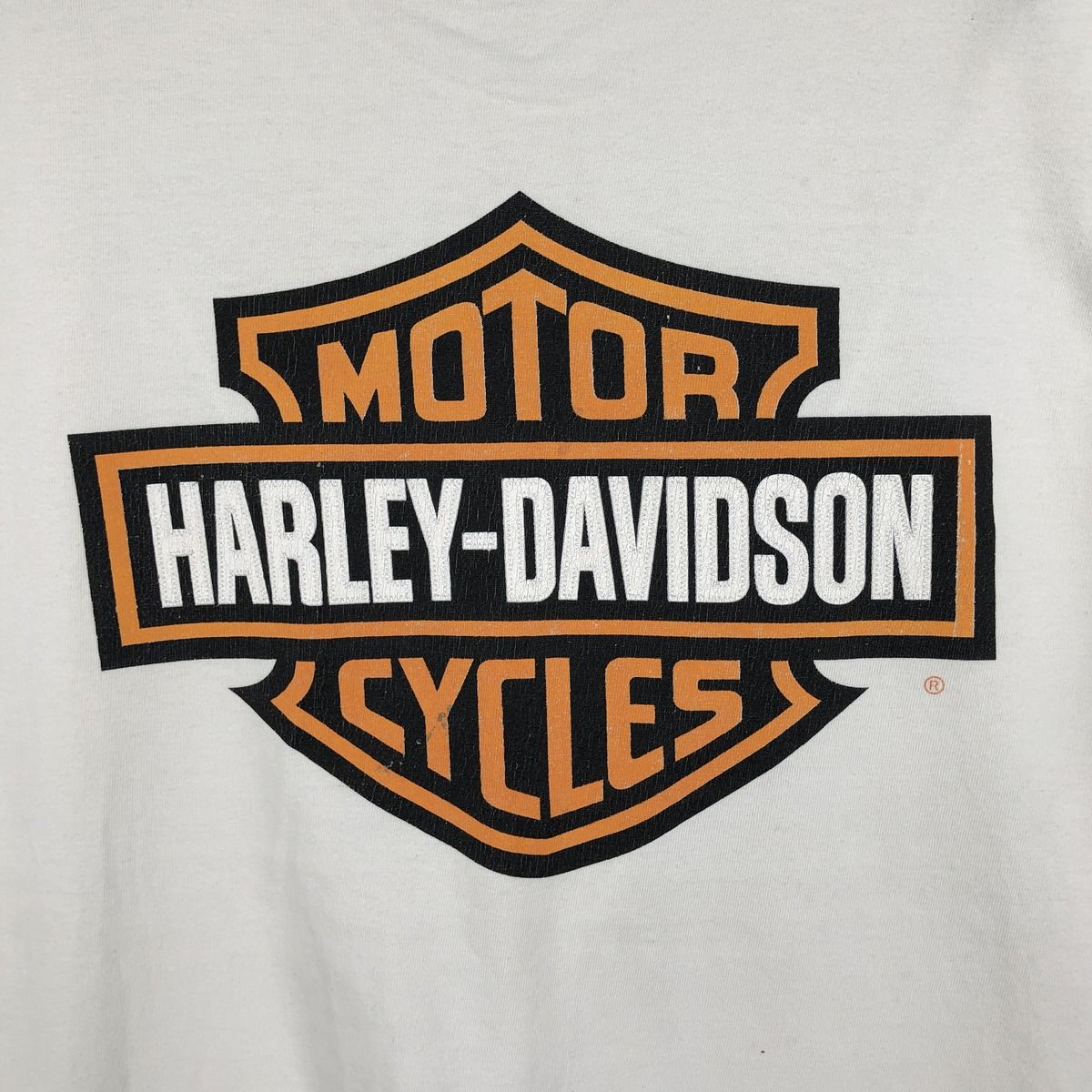 古着 ハーレーダビッドソン Harley-Davidson トライバル モーターサイクル バイクTシャツ メンズL相当/eaa636982