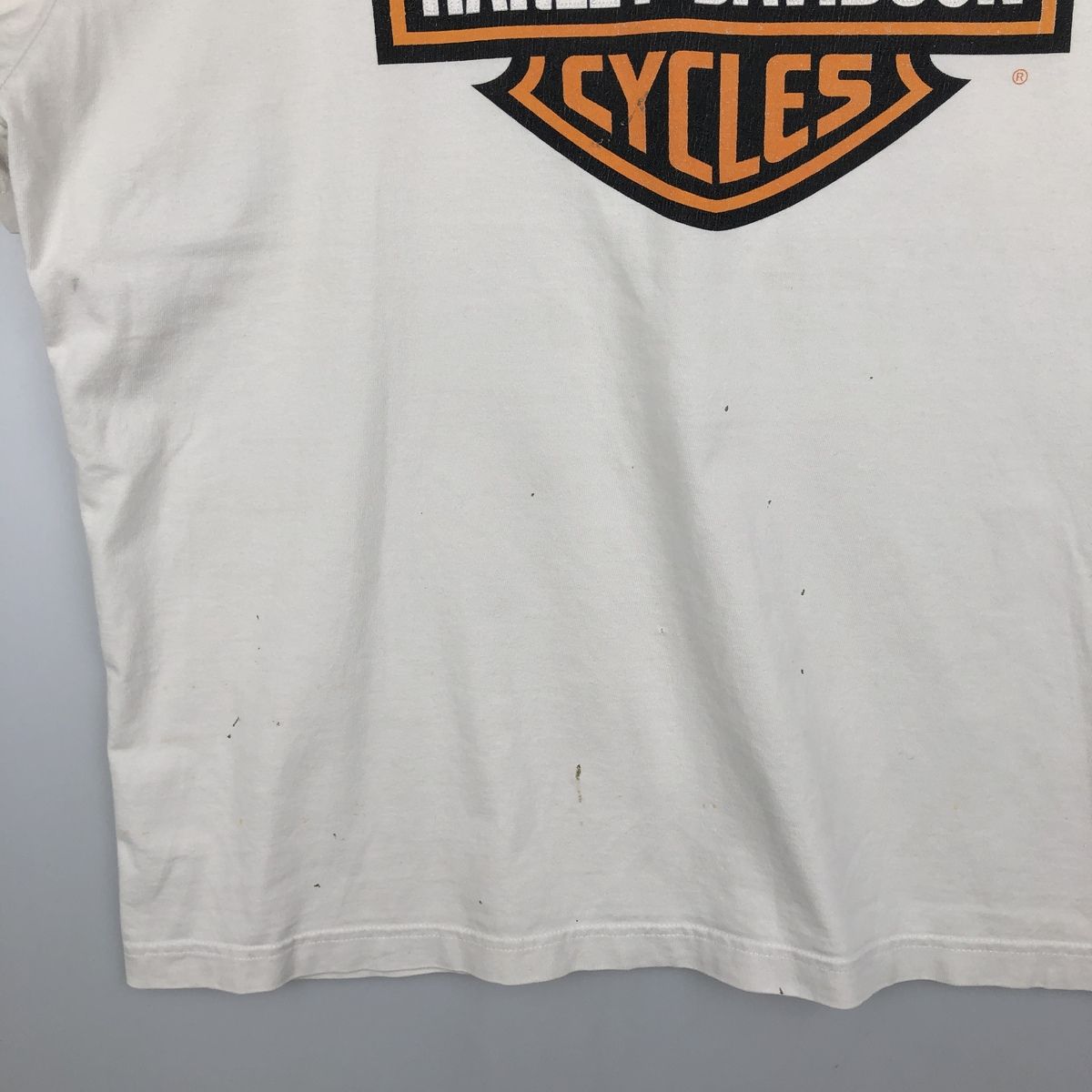 古着 ハーレーダビッドソン Harley-Davidson トライバル モーターサイクル バイクTシャツ メンズL相当/eaa636982