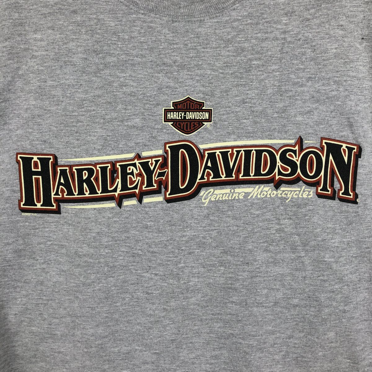 古着 00年代 ハーレーダビッドソン Harley-Davidson モーターサイクル バイクTシャツ メンズXL相当/eaa636991 古着 00年代 ハーレーダビッドソン Harley-Davidson モーターサイクル バイクTシャツ メンズXL相当/eaa636991