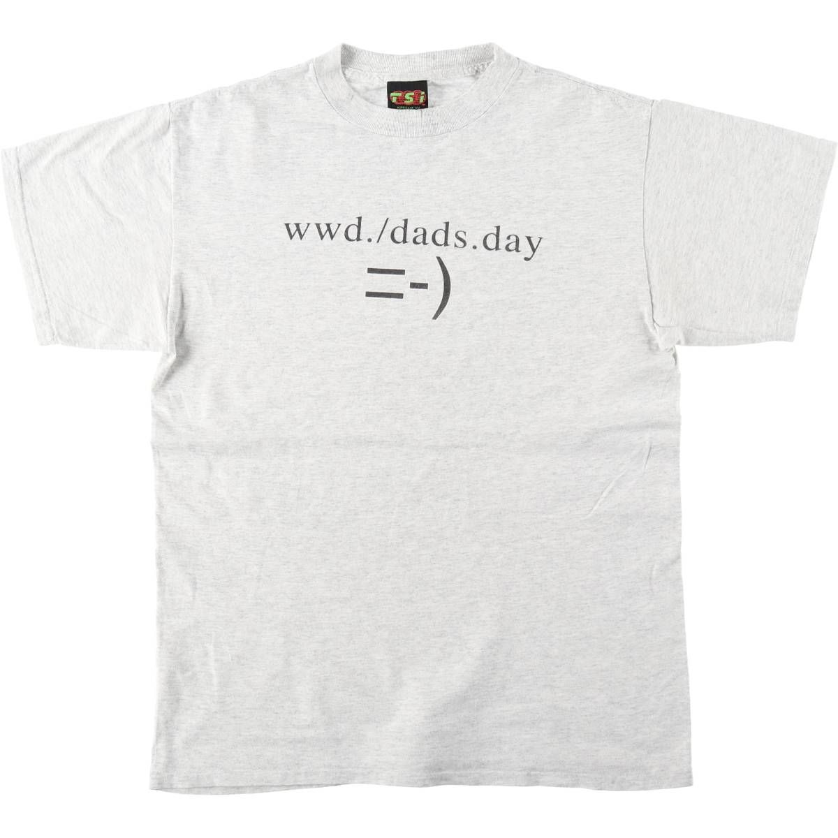 古着 TSI プリント プリントTシャツ メンズL相当/eaa642195
