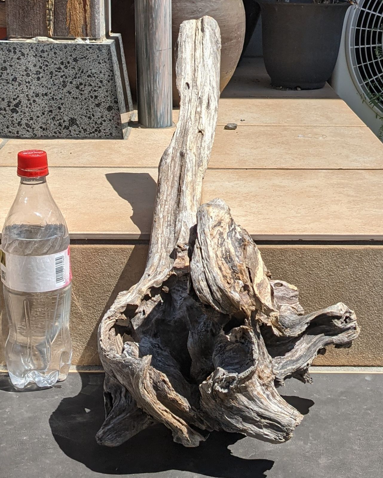 流木レイアウト 超大型　A862 レイアウト用品