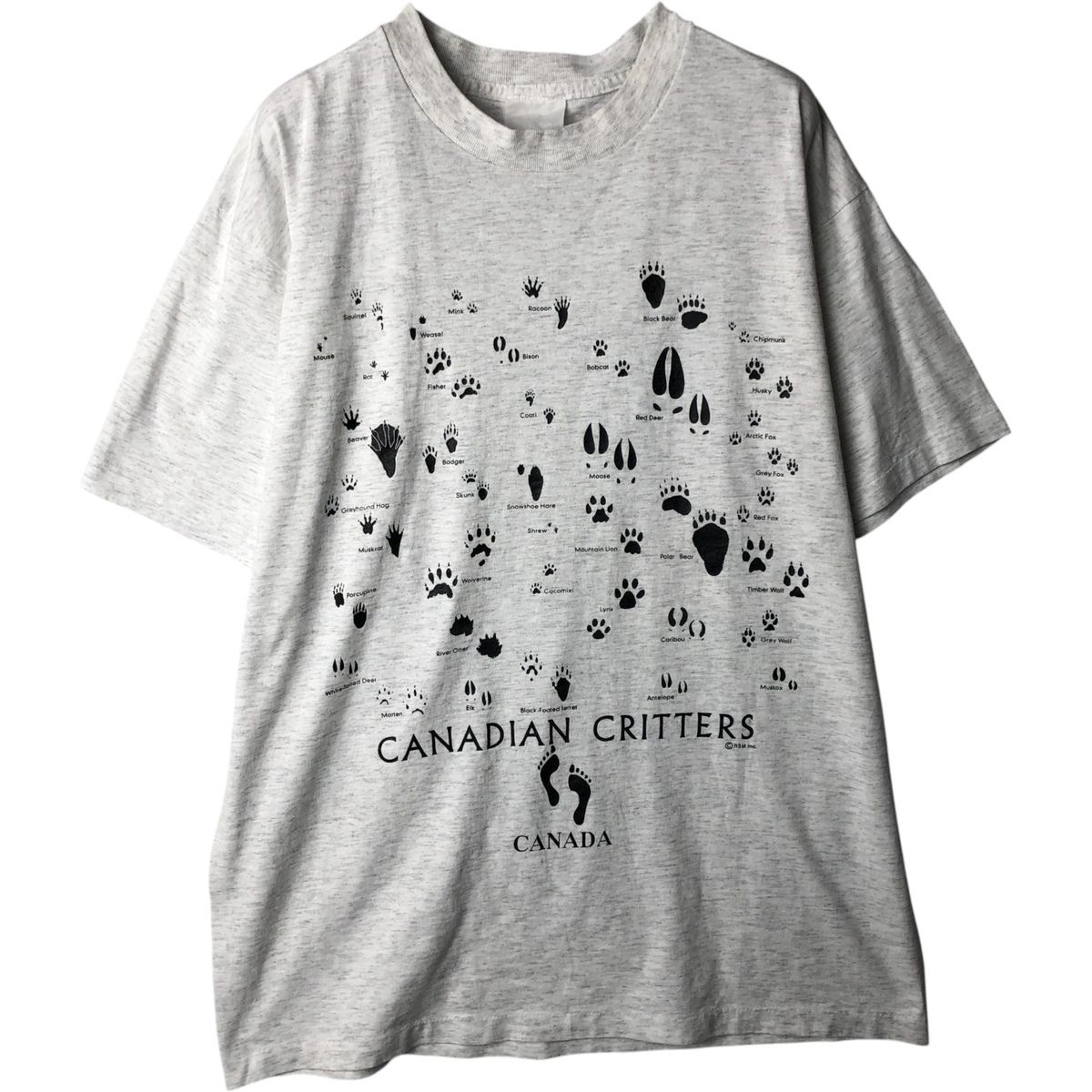 古着 ~90年代 プリントTシャツ メンズL相当 ヴィンテージ/eaa638251