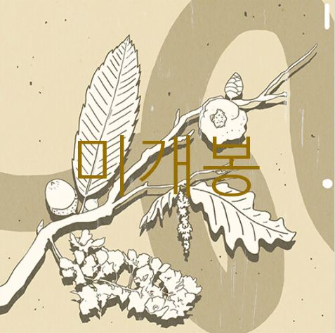 未開封 ゴヌ ー フォーシーズンズ （ CD ）