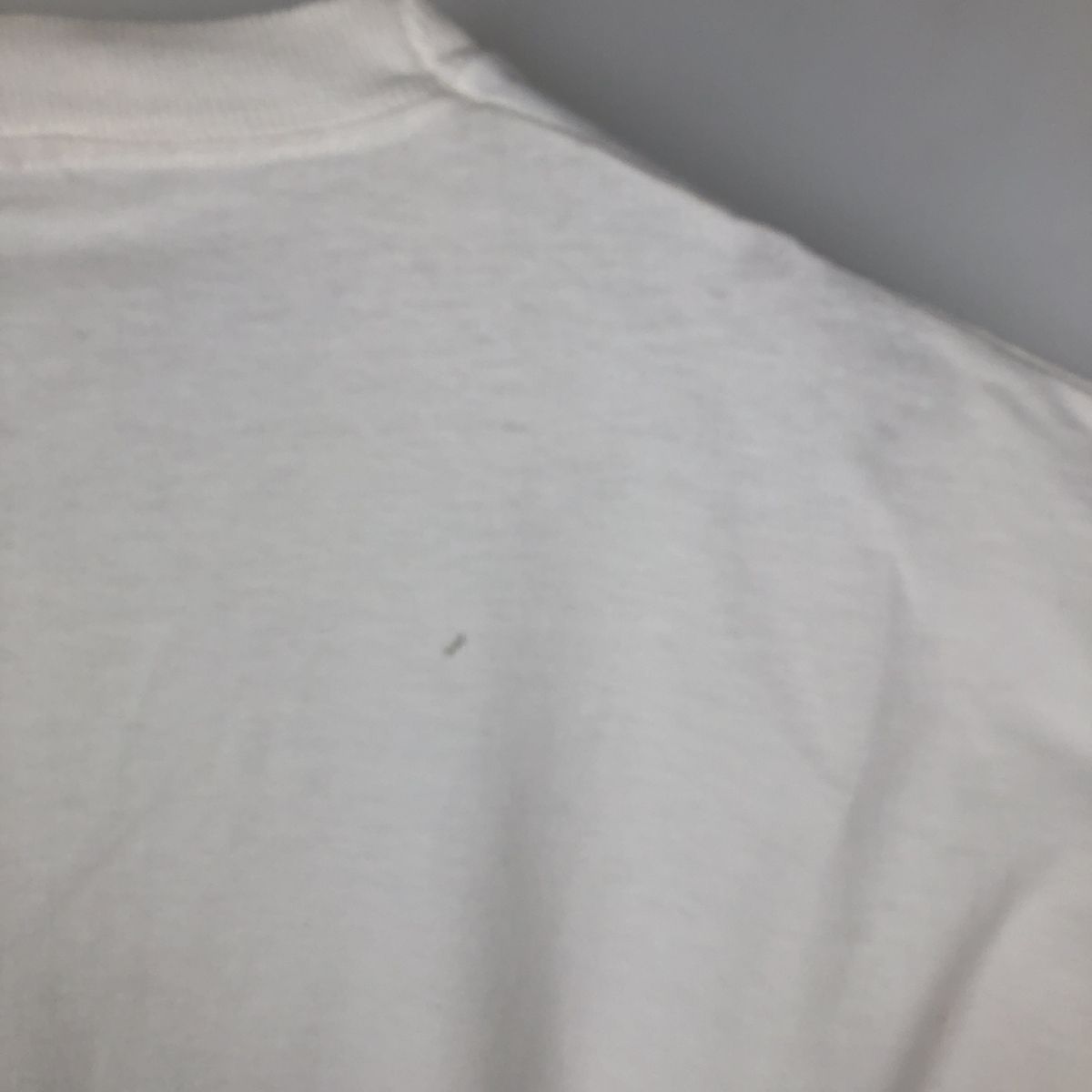 古着 90年代 フルーツオブザルーム FRUIT OF THE LOOM プリントTシャツ USA製 メンズXXL相当/eaa638832