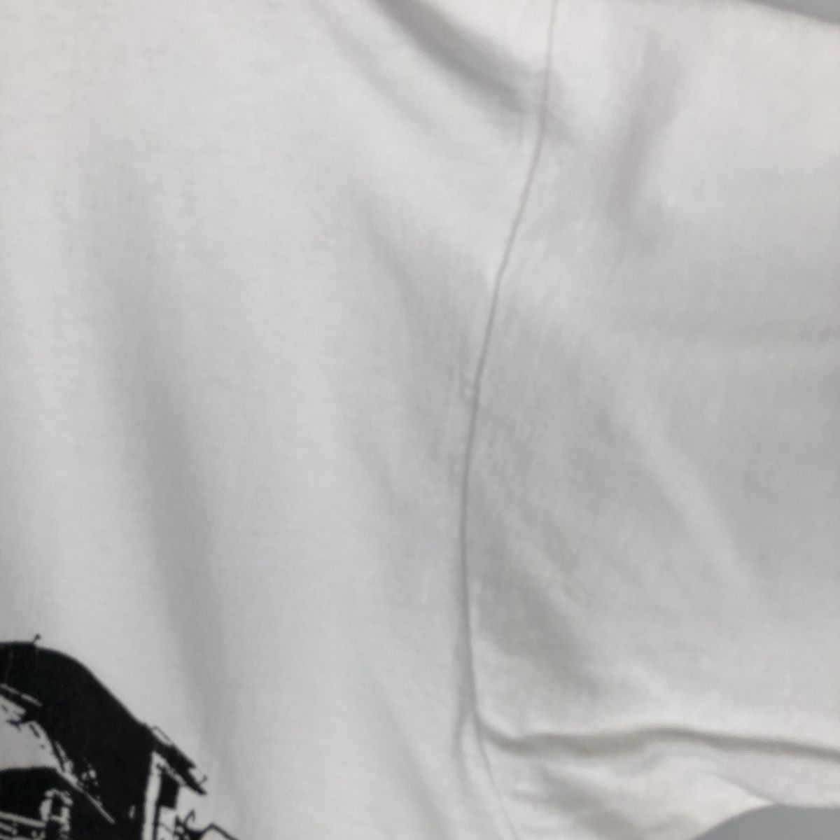 古着 90年代 フルーツオブザルーム FRUIT OF THE LOOM プリントTシャツ USA製 メンズXXL相当/eaa638832