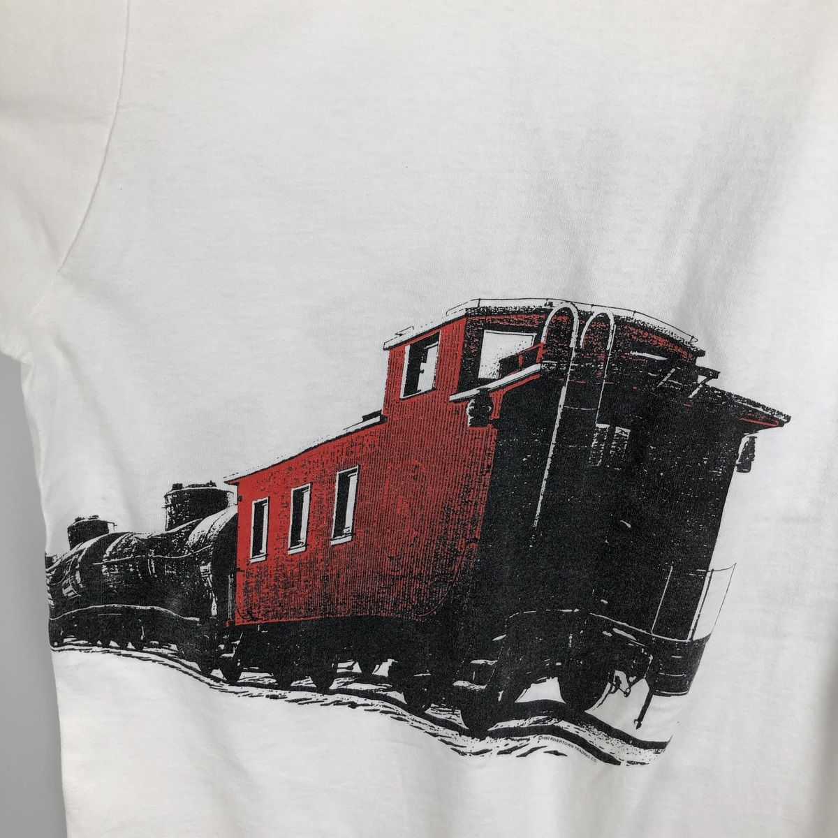 古着 90年代 フルーツオブザルーム FRUIT OF THE LOOM プリントTシャツ USA製 メンズXXL相当/eaa638832