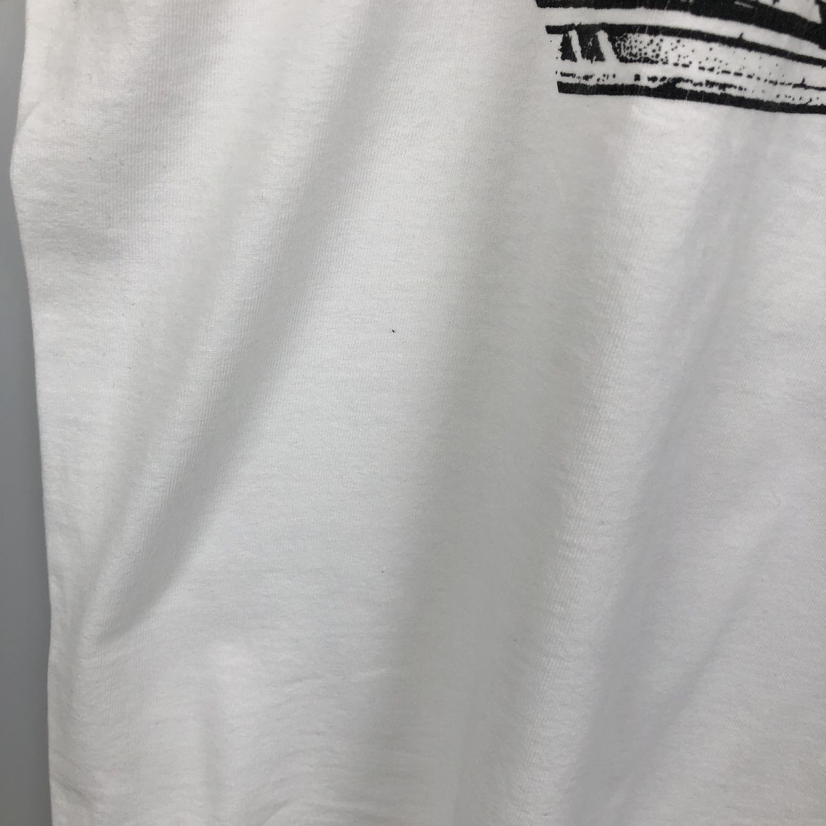 古着 90年代 フルーツオブザルーム FRUIT OF THE LOOM プリントTシャツ USA製 メンズXXL相当/eaa638832