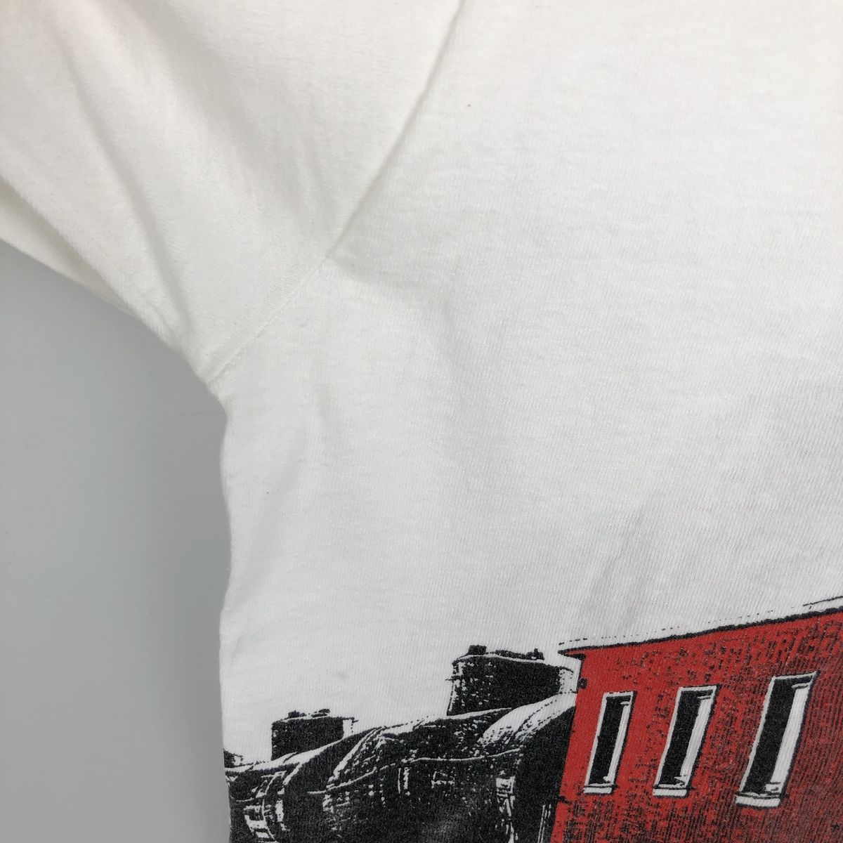 古着 90年代 フルーツオブザルーム FRUIT OF THE LOOM プリントTシャツ USA製 メンズXXL相当/eaa638832