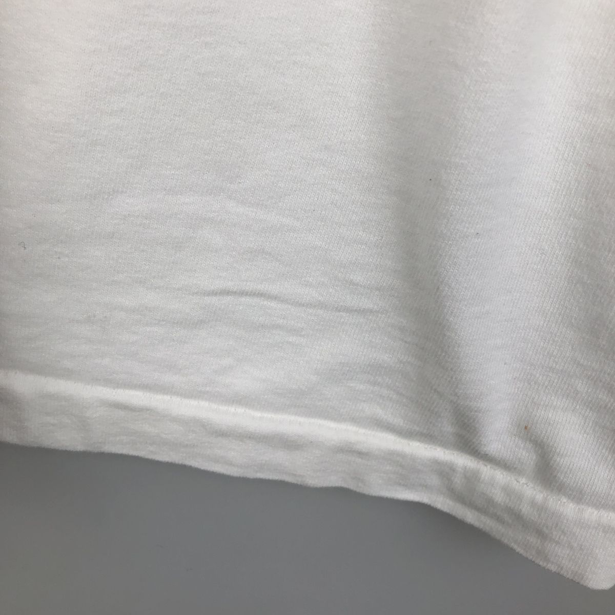 古着 90年代 フルーツオブザルーム FRUIT OF THE LOOM プリントTシャツ USA製 メンズXXL相当/eaa638832