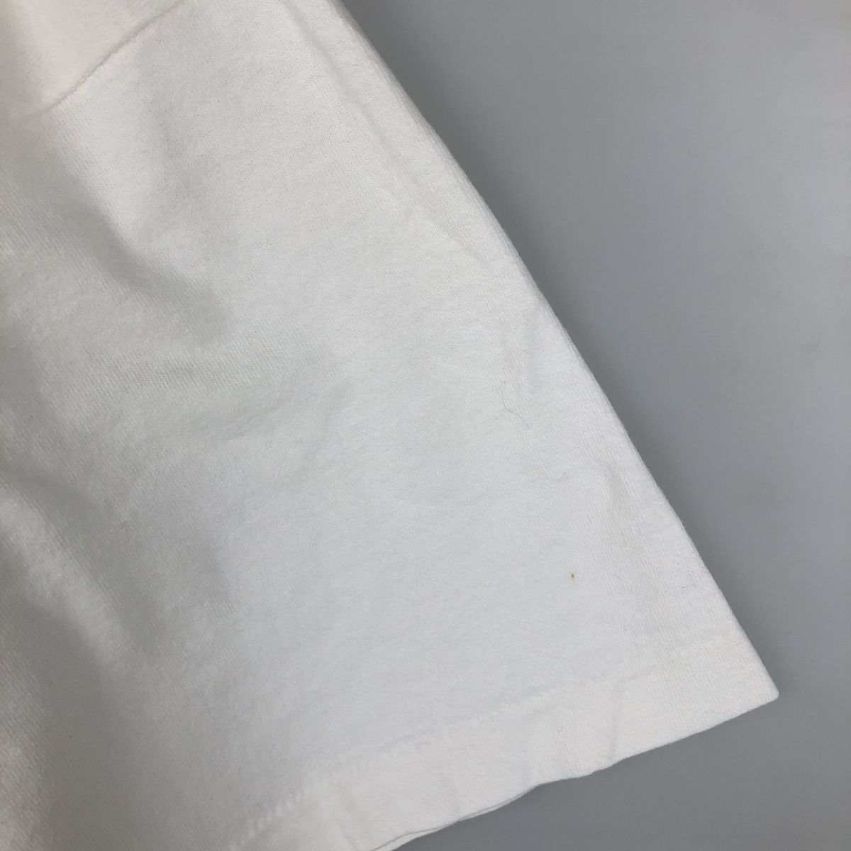 古着 90年代 フルーツオブザルーム FRUIT OF THE LOOM プリントTシャツ USA製 メンズXXL相当/eaa638832
