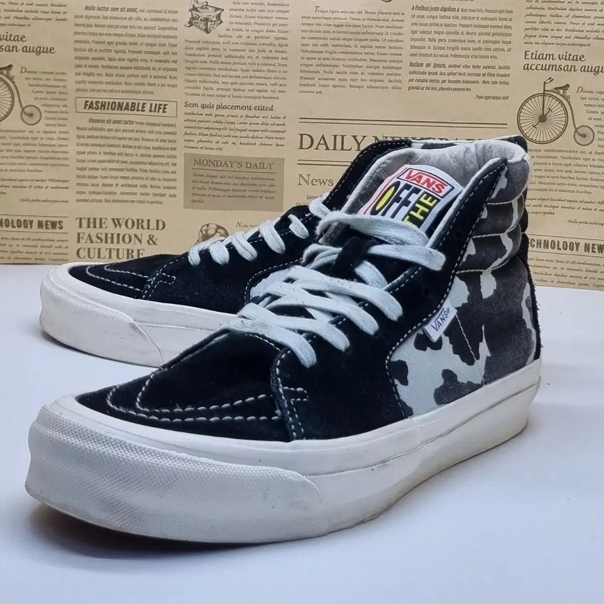 VANS ヴァンズ OG スタイル38 ハイトップ 250