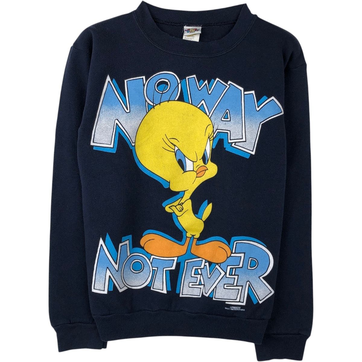 特大トゥイーティー 古着 90年代 LOONEY TUNES ルーニーテューンズ トゥイーティー 大判
