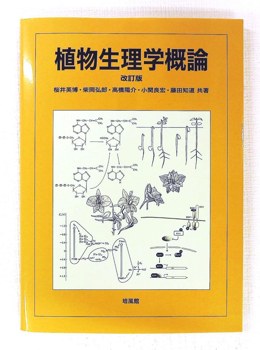 植物生理学概論 桜井 英博 培風館