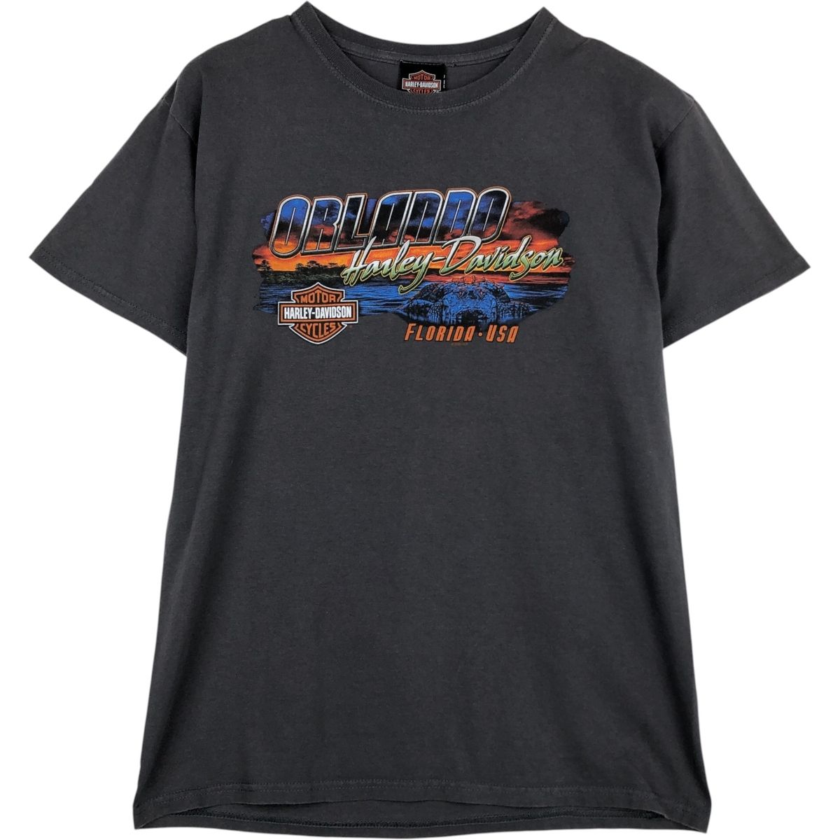 古着 ハーレーダビッドソン Harley-Davidson モーターサイクル バイクTシャツ メンズM相当/eaa636271