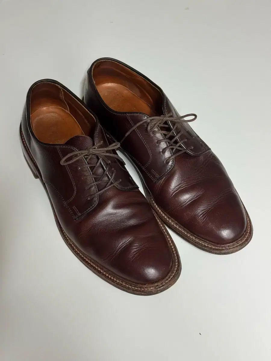 ALDEN 29364F ブラウン クロムアクセル