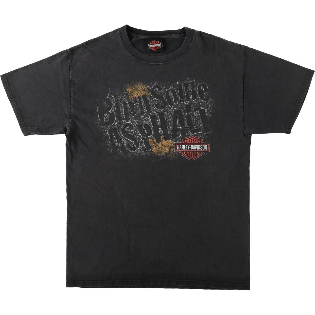 古着 ハーレーダビッドソン Harley-Davidson Hanes BEEFY-T モーターサイクル バイクTシャツ メンズM相当/eaa636236