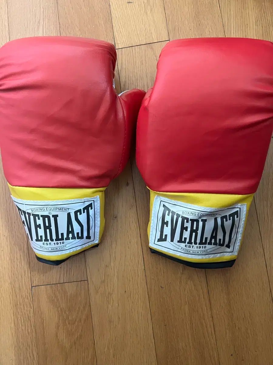 EVERLAST ボクシング グローブ