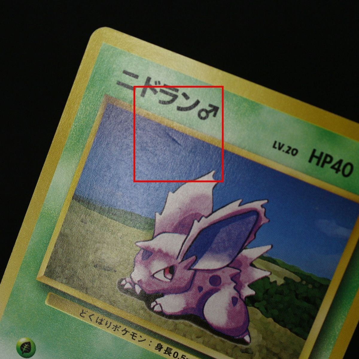 ST] ポケモンカード トランセル 旧裏 マークなし LV 21 HP 70 ニドラン
