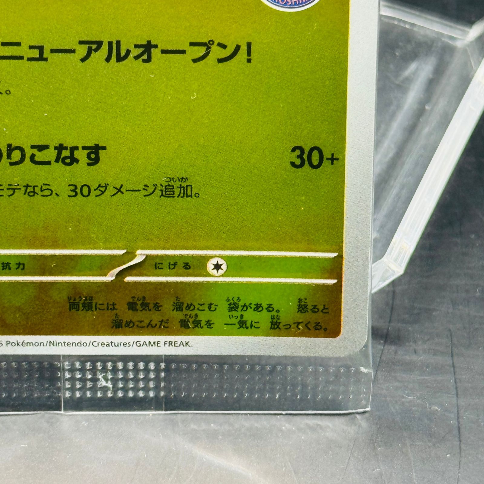 ヒロシマのピカチュウ P [SV-P 261] ポケモンセンターヒロシマ - メルカリ