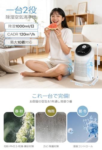 【新品】除湿機 小型 【除湿+空気清浄 2in1】一日1000ml除湿700ml大容量タンク/連続排水可能 湿気梅雨対策 花粉PM2.5対策 タイマー機能 満水自動OFF 睡眠モード 静音 省エネ ペルチェ式除湿機 10畳用 狭所向け コンパ 710e93aa