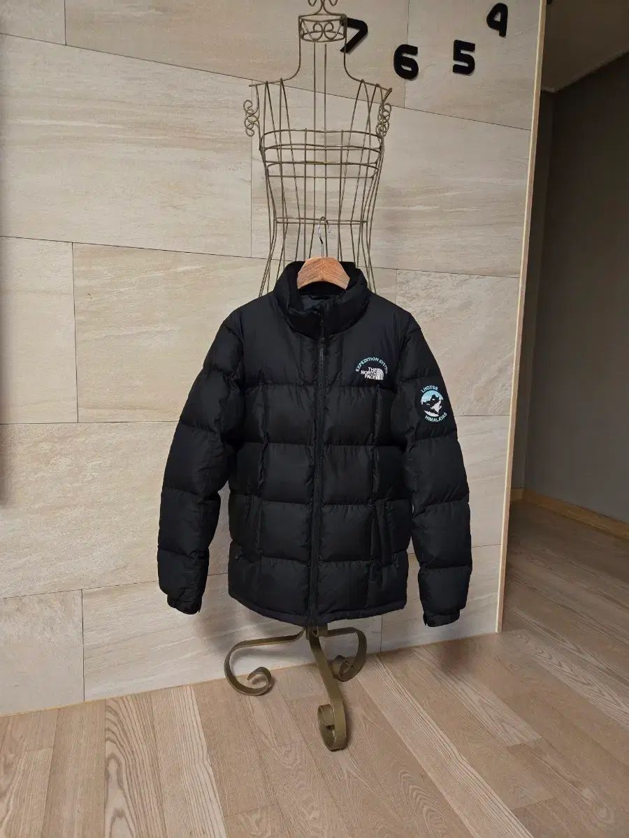 160 THE NORTH FACE ザノースフェイス キッズ ダックダウン ダウン