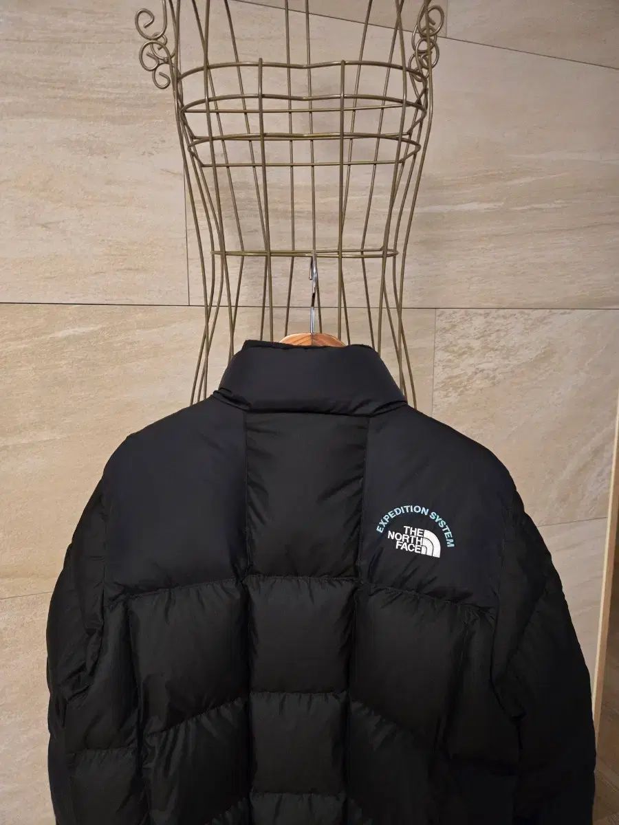 160 THE NORTH FACE ザノースフェイス キッズ ダックダウン ダウン 160 THE NORTH FACE ザノースフェイス キッズ ダックダウン ダウン
