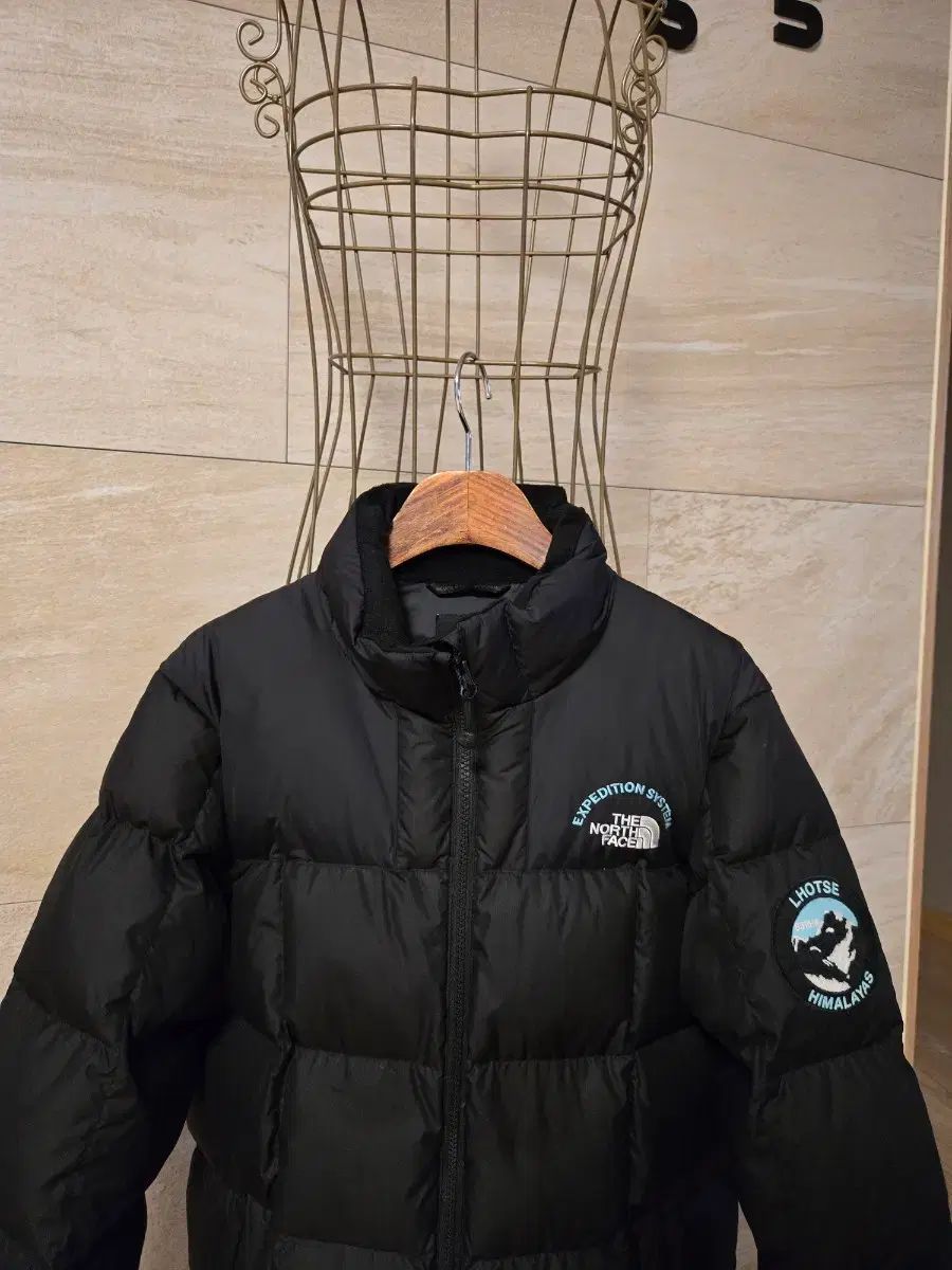 160 THE NORTH FACE ザノースフェイス キッズ ダックダウン ダウン 160 THE NORTH FACE ザノースフェイス キッズ ダックダウン ダウン