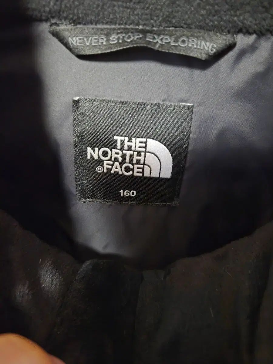 160 THE NORTH FACE ザノースフェイス キッズ ダックダウン ダウン 160 THE NORTH FACE ザノースフェイス キッズ ダックダウン ダウン