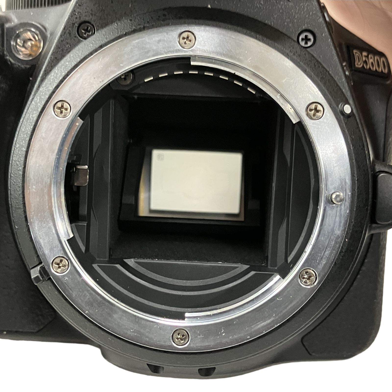Nikon ニコン D5600 18-55mm 70-300mm ダブルズームキット 一眼レフ