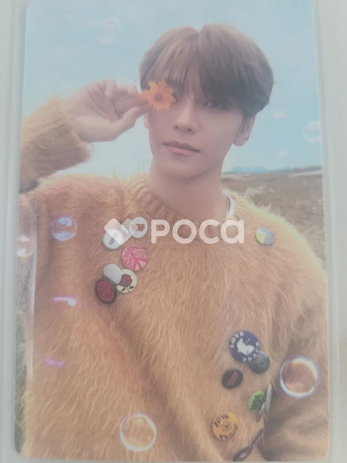 ALPHA DRIVE ONE シンロン EUPHORIA RANDOM TRADING PHOTO CARD SET