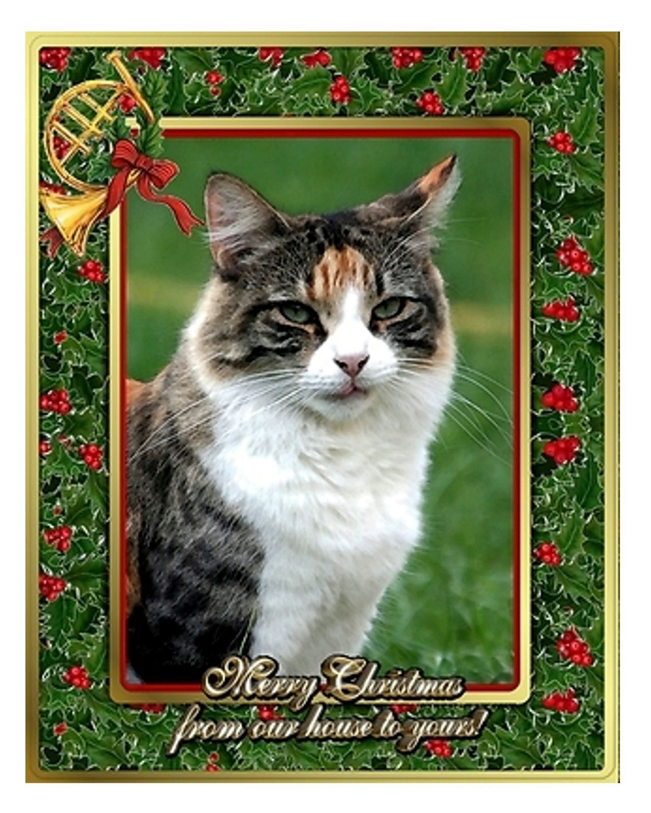 【CD】Xmas Card
