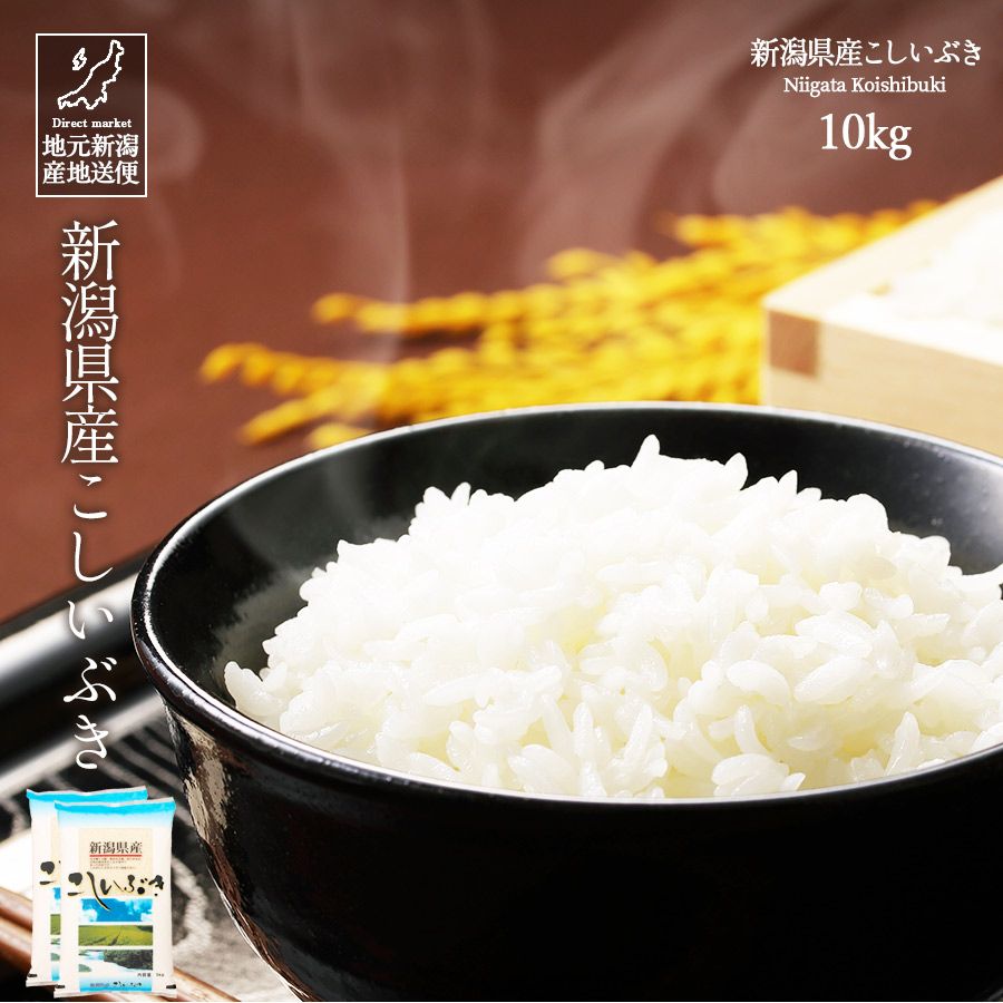 令和7年産 新潟産 新潟県産 こしいぶき 白米 10kg 産地直送