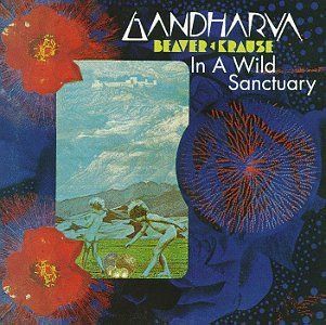 【CD】In a Wild Santuary & Gandharva