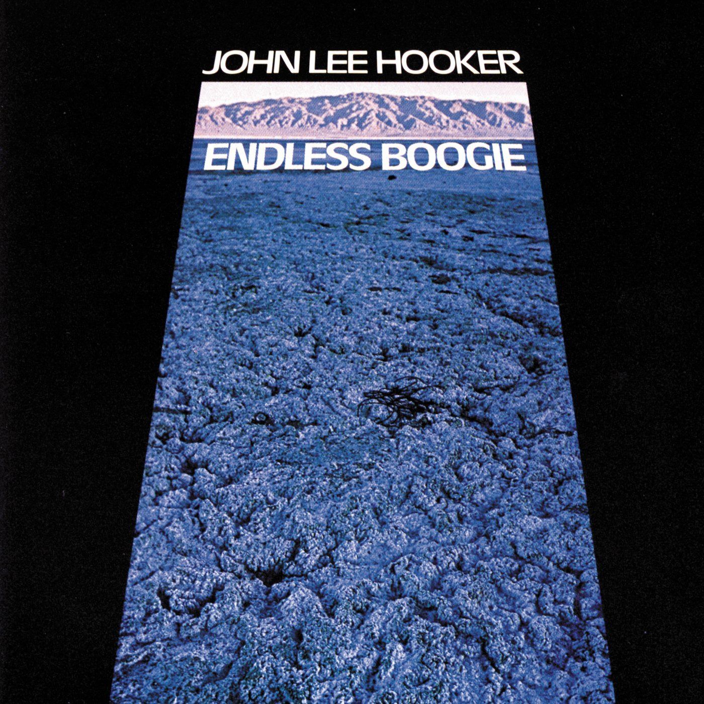 【CD】Endless Boogie