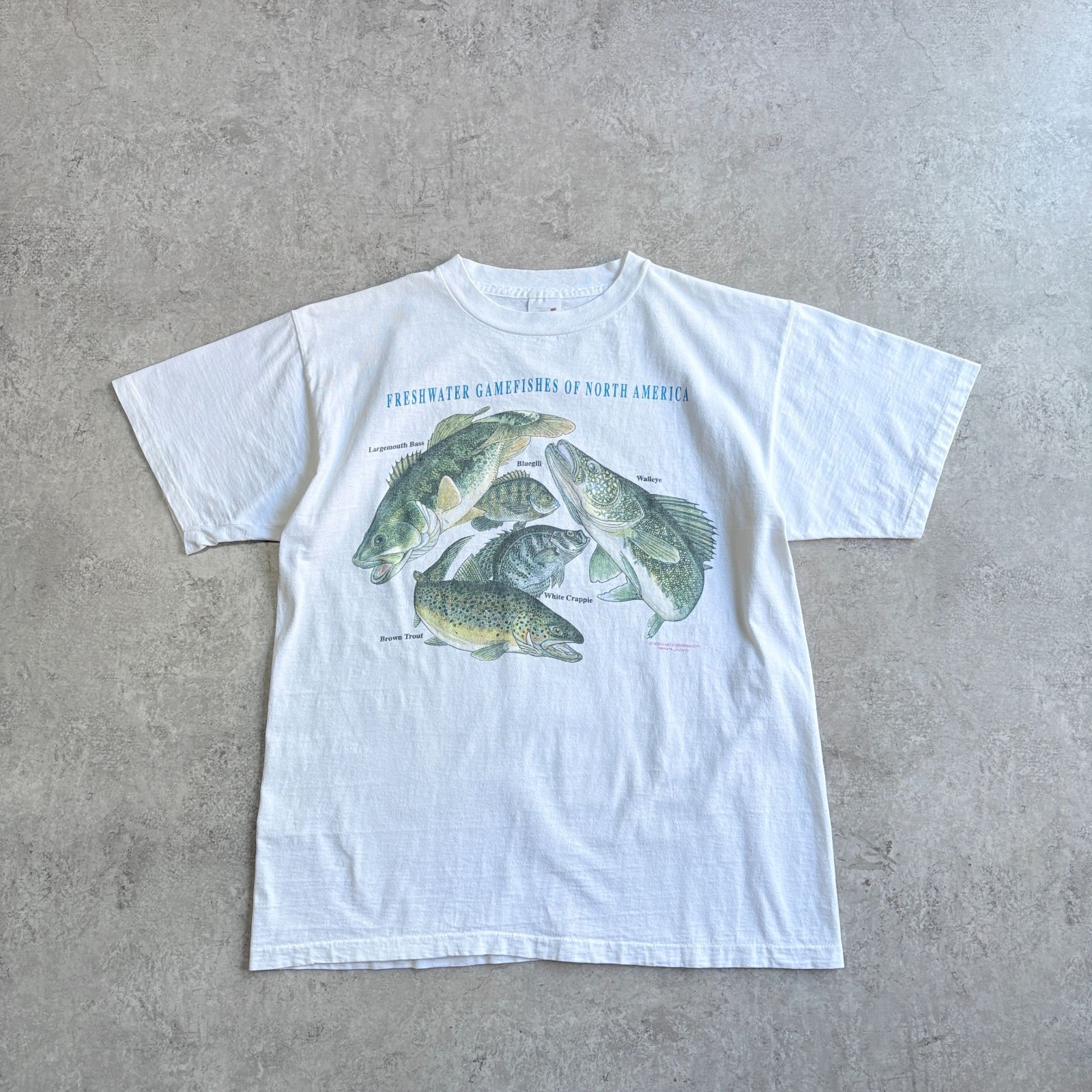 90s USA製 Freshwater Gamefishes of North America Printed T-shirt フレッシュウォーター ゲームフィッシュ アメリカ 魚 フィッシング Tシャツ TEE