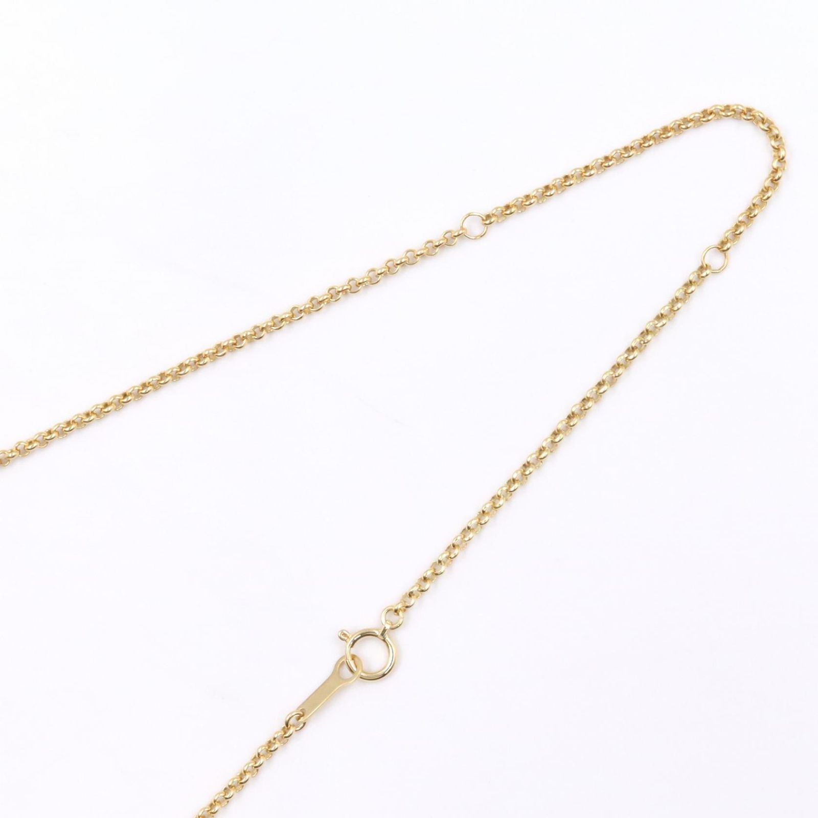 ジュエリー JEWELRY ネックレス ニコンレンズ付 ネックレス ﾀﾞｲﾔ/ｶﾒｵ 