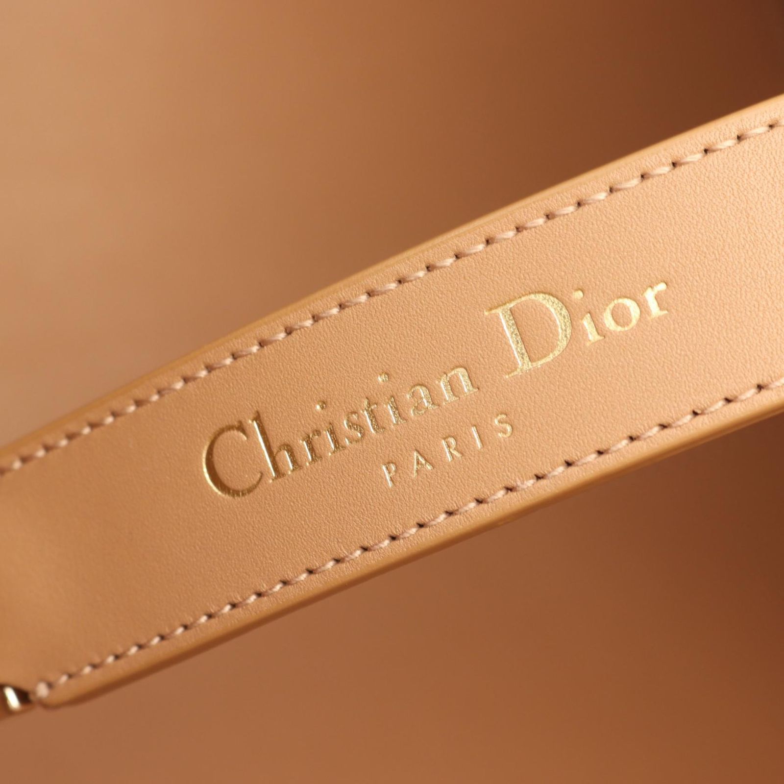 ディオール Dior トートバッグ トゥジュール ラージ マイクロ 