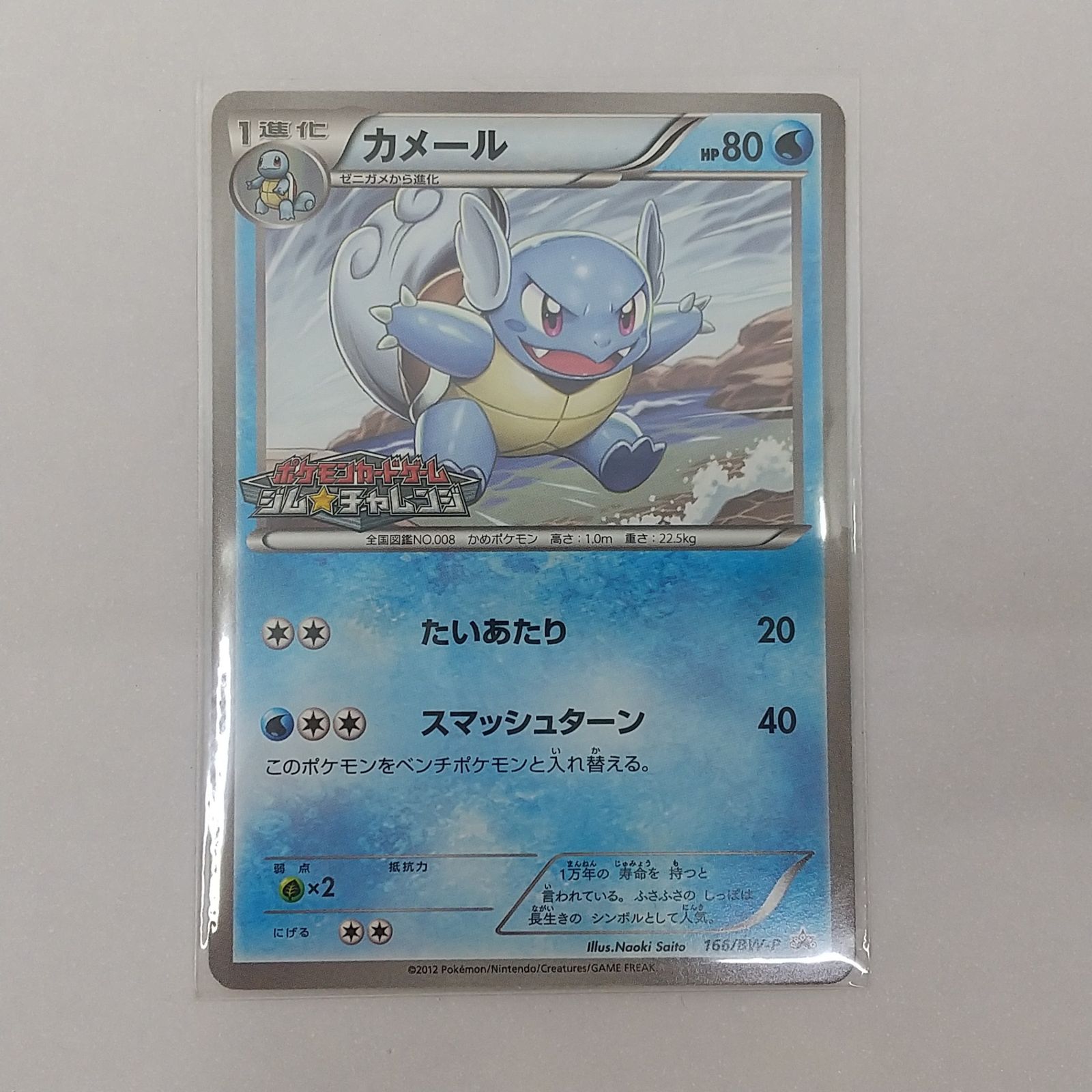 【PSA10】ポケモンカードカメール プロモ 166/BW-P ポケカ カメール プロモ[P] 166/BW-P ポケモンカード トレカ