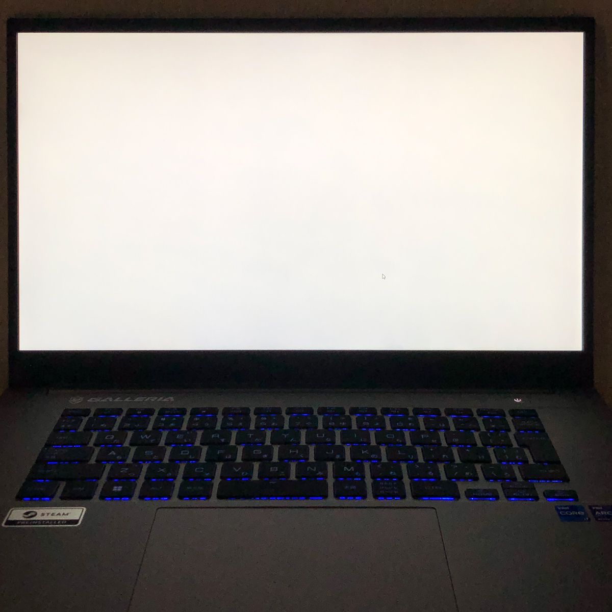 GALLERIA ジャンク メルカリ ゲーミングノートPC UL7C-AA2 i7-12700H 