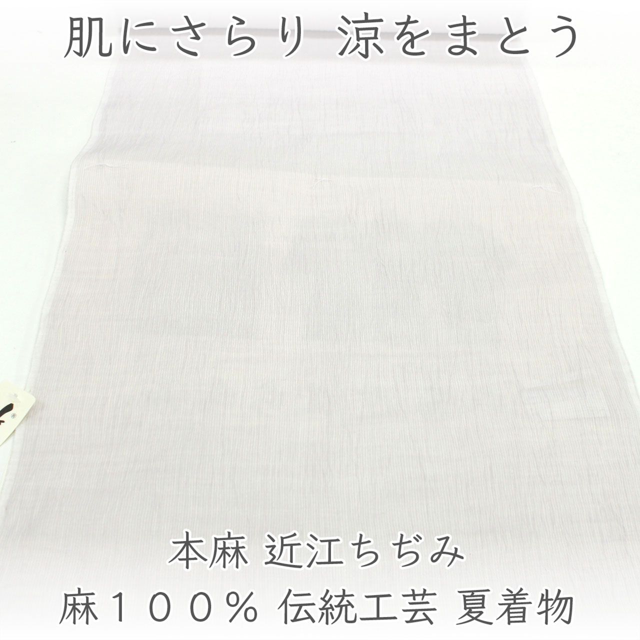 kta3109 本麻 近江ちぢみ 夏着尺 麻１００％ 本麻 伝統工芸 夏着物 お仕立て付き 1ヶ月半～2ヶ月で発送