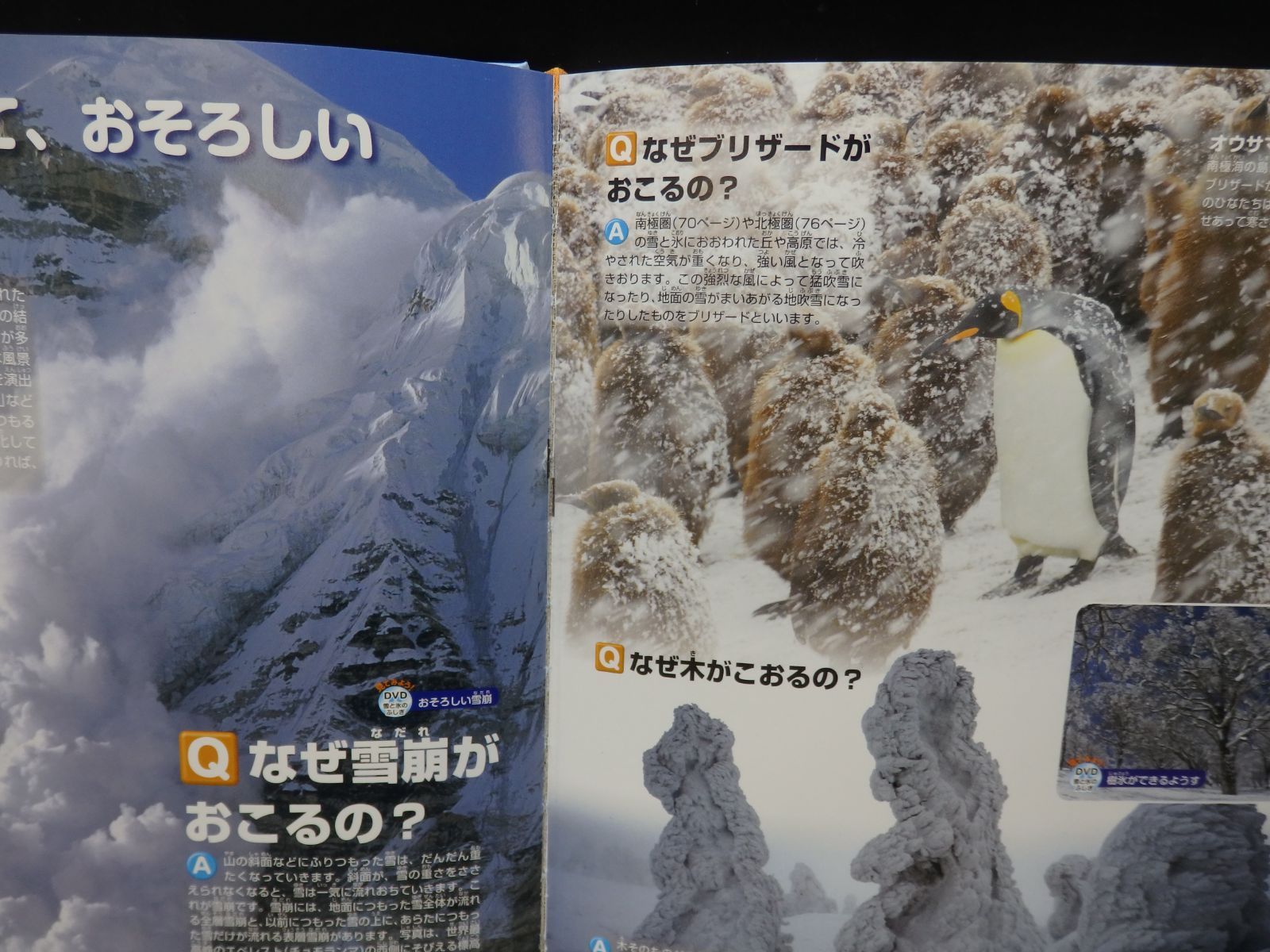 図鑑】《4冊セット》講談社の動く図鑑 WANDER move 大自然のふしぎ