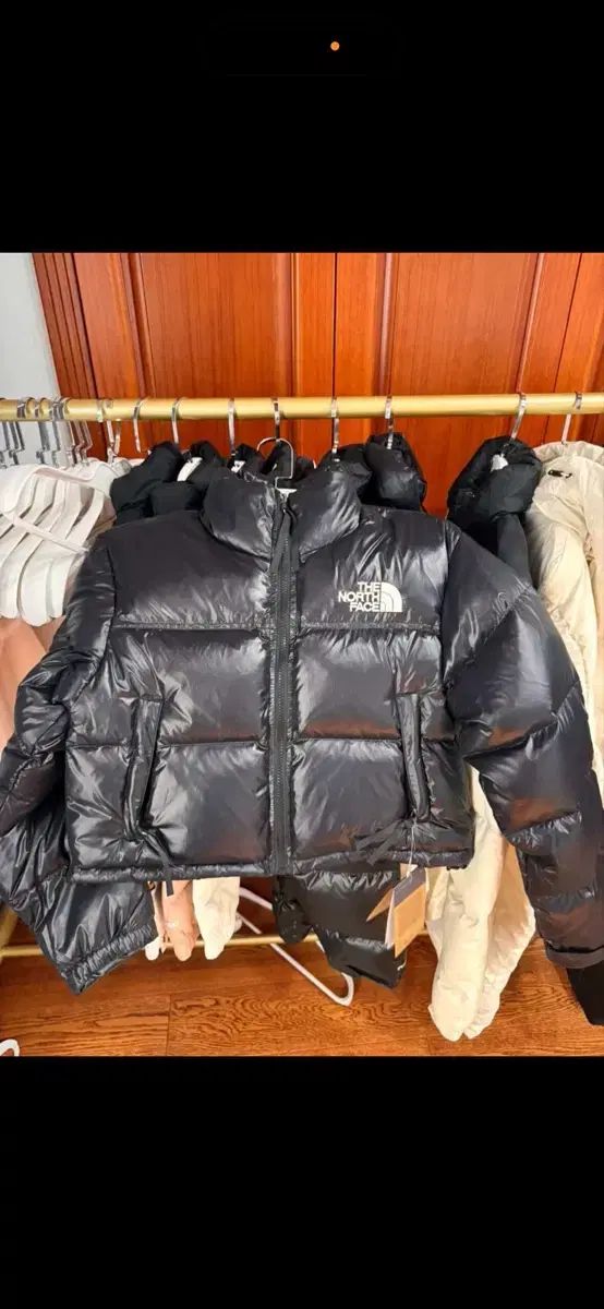 THE NORTH FACE ザノースフェイス ヌプシ700 ダウン