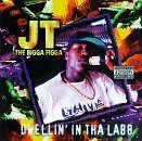 【CD】Dwellin In The Labb