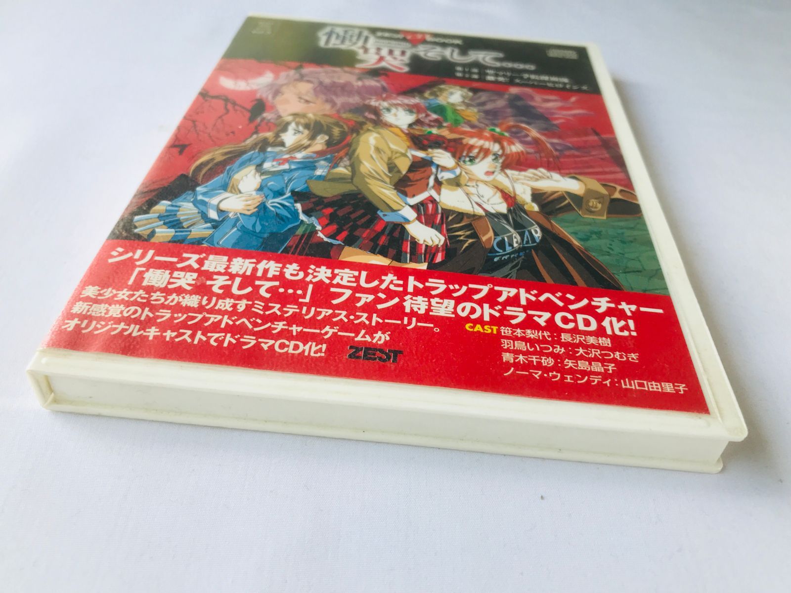 慟哭 そして… ドラマCD ゼスト CDブック 笹本梨代 青木千砂 Doukoku
