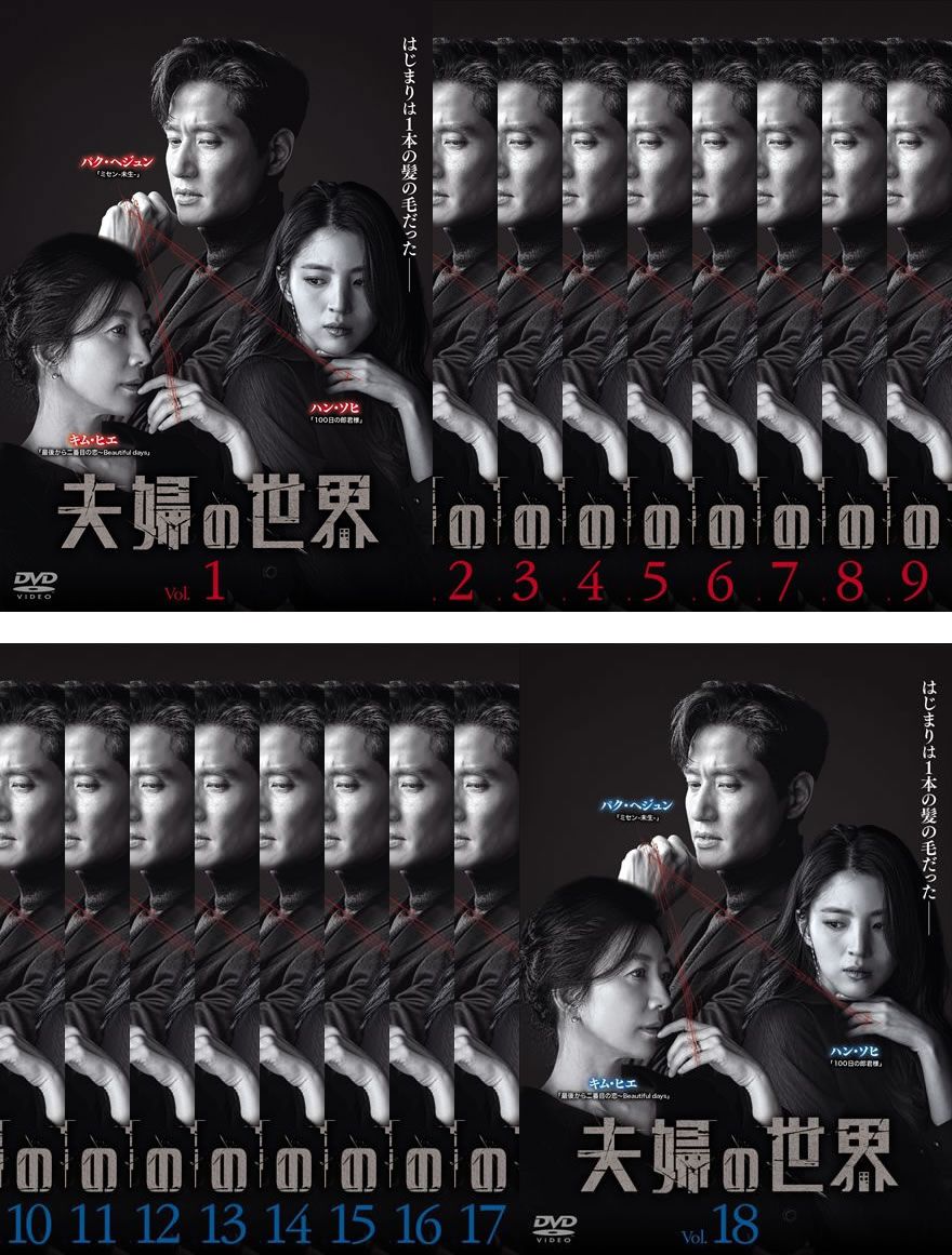 夫婦の世界(18枚セット)第1話～第32話 最終、SP 全2話【字幕】【全巻