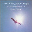 【CD】More Than Just a Seagull