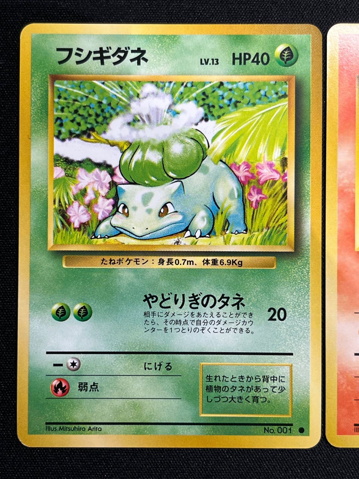 P*0様 ポケモンカード 旧裏 エキスパンションマーク ゼニガメ&フシギダネ ま フシギダネ ヒトカゲ ゼニガメ 旧裏 マークあり 各1枚セット