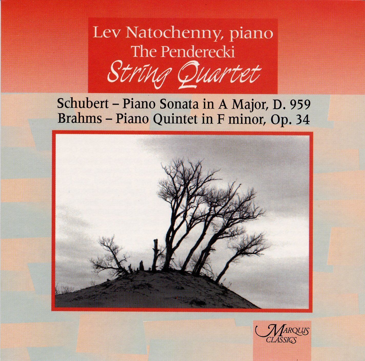 【CD】Schubert/Brahms:Piano Sonat 11,649円