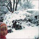 (CD)Clarence Park／Chris Clark
