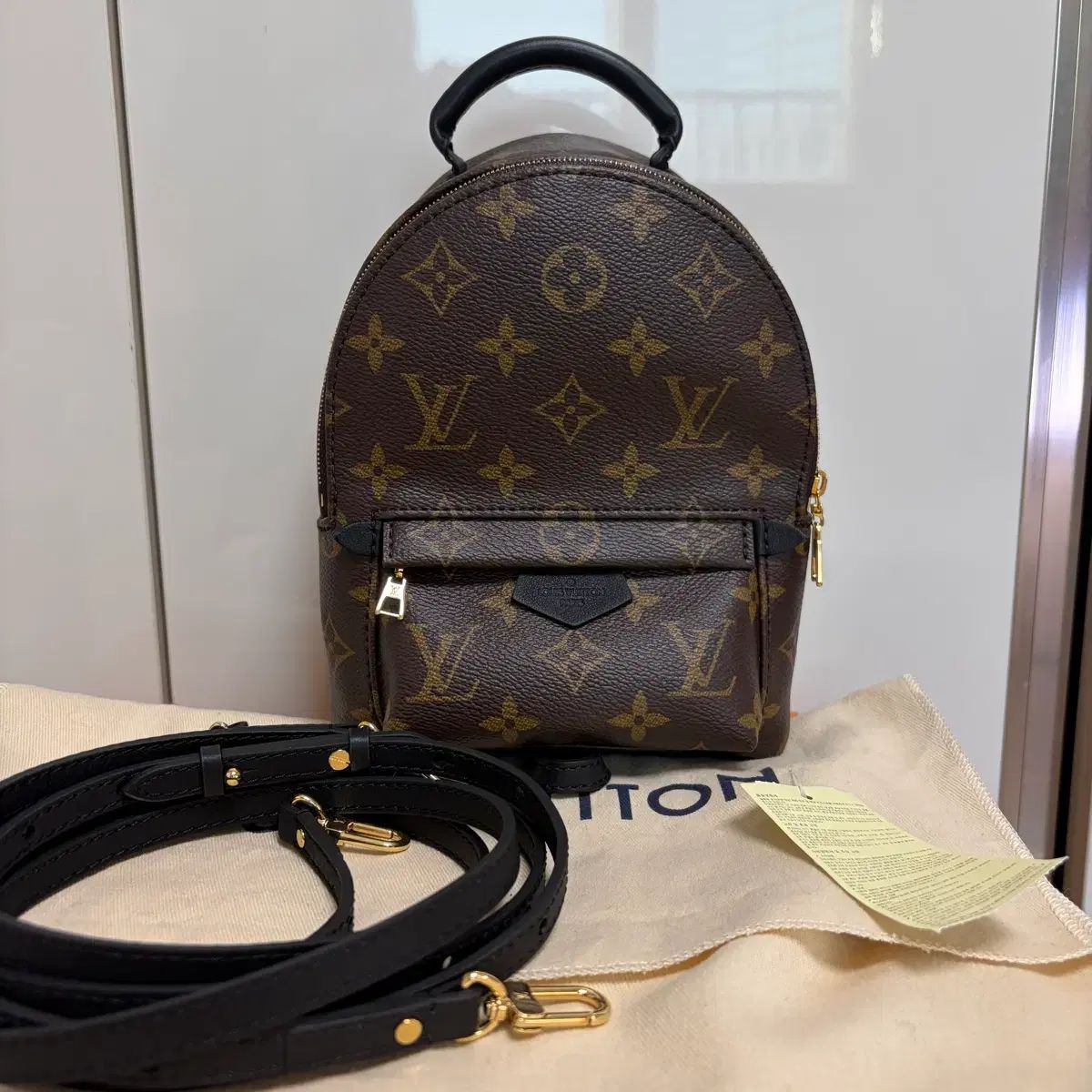 新品/ミニ Louis Vuitton ルイヴィトン 팜 スプリングス ミニ バックパック モノグラム